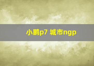 小鹏p7 城市ngp